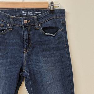Gap Dark Wash Skinny Denim (6)